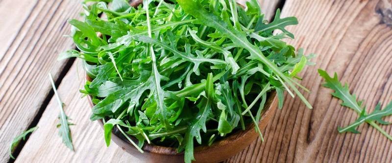 Przechowywanie rukoli