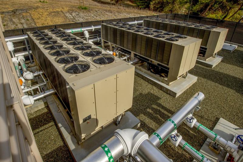 Warzywa i owoce mrożenie