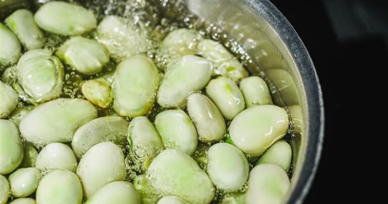 Jak optymalnie gotować mrożony bób, by zachować smak i wartości odżywcze?