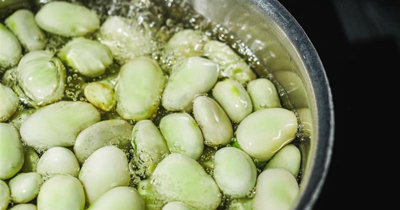 Jak optymalnie gotować mrożony bób, by zachować smak i wartości odżywcze?