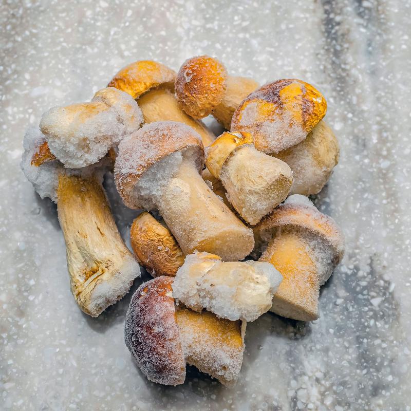 Mrożenie surowych grzybów