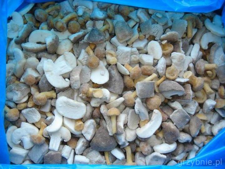 Przechowywanie mrożonych grzybów