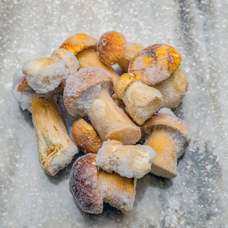 Jak skutecznie mrozić surowe grzyby, aby zachowały smak i świeżość przez długi czas?